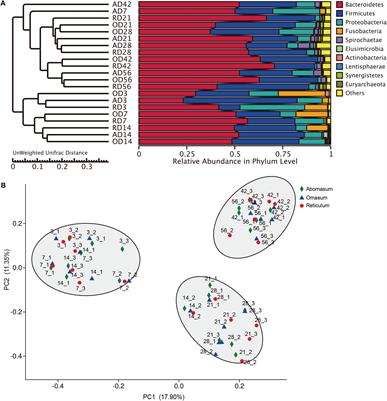 Exploring the Spatial-Temporal Microbiota of Compound Stomachs in a Pre-weaned Goat Model